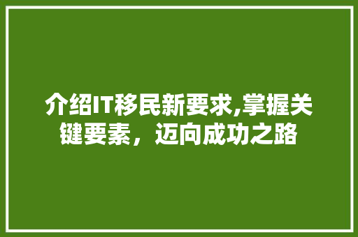 介绍IT移民新要求,掌握关键要素，迈向成功之路