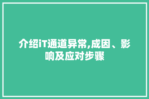 介绍iT通道异常,成因、影响及应对步骤 百度算法