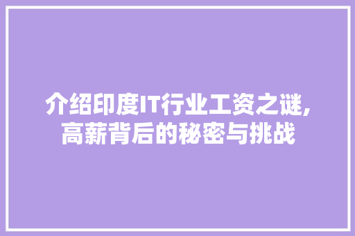 介绍印度IT行业工资之谜,高薪背后的秘密与挑战