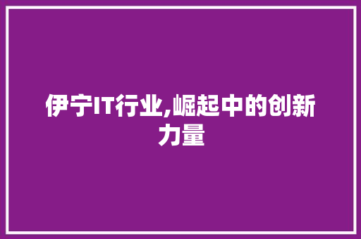 伊宁IT行业,崛起中的创新力量