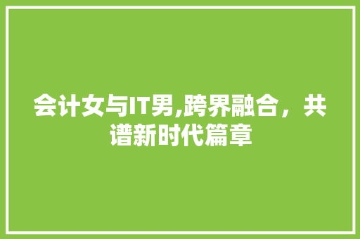 会计女与IT男,跨界融合，共谱新时代篇章