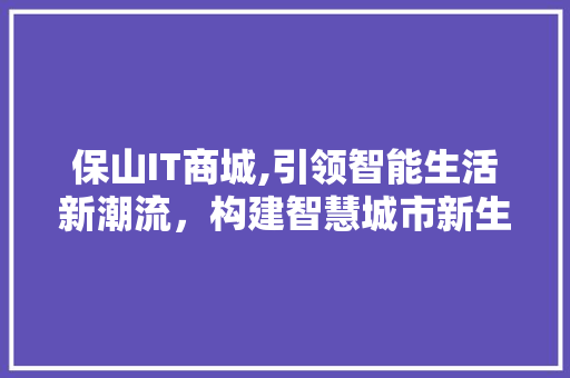 保山IT商城,引领智能生活新潮流，构建智慧城市新生态