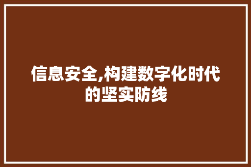 信息安全,构建数字化时代的坚实防线