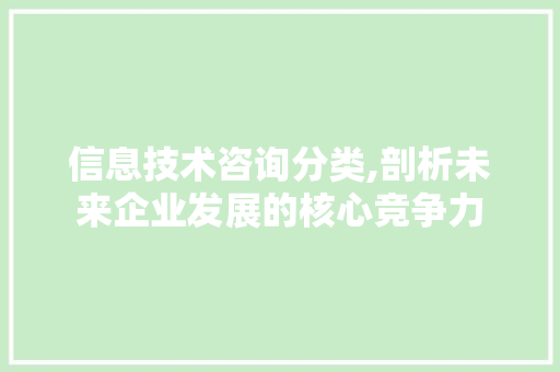信息技术咨询分类,剖析未来企业发展的核心竞争力