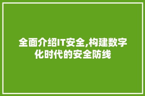 全面介绍IT安全,构建数字化时代的安全防线 小程序开发