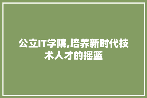 公立IT学院,培养新时代技术人才的摇篮 网站开发