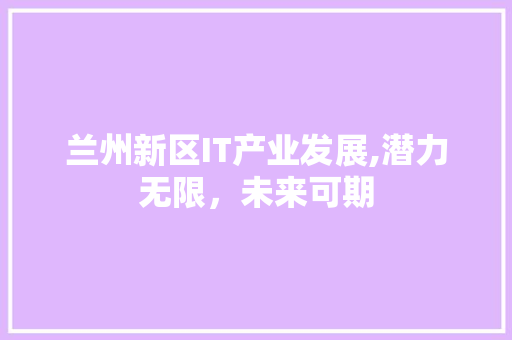 兰州新区IT产业发展,潜力无限，未来可期