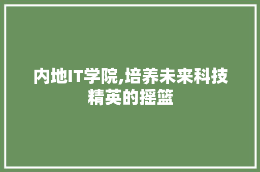内地IT学院,培养未来科技精英的摇篮