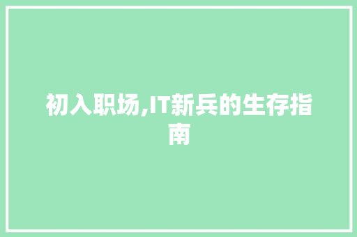 初入职场,IT新兵的生存指南
