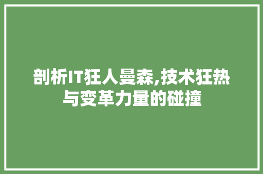 剖析IT狂人曼森,技术狂热与变革力量的碰撞