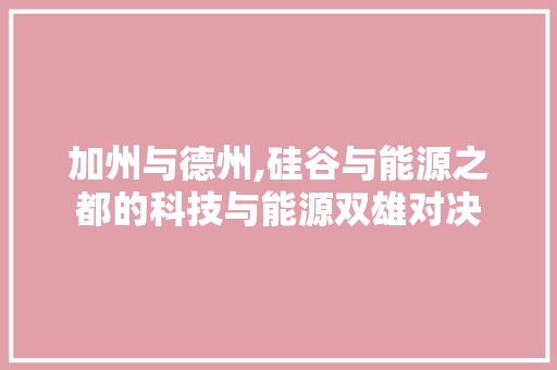 加州与德州,硅谷与能源之都的科技与能源双雄对决 AI技术学习