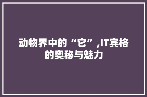 动物界中的“它”,IT宾格的奥秘与魅力