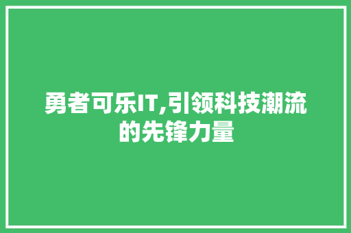 勇者可乐IT,引领科技潮流的先锋力量