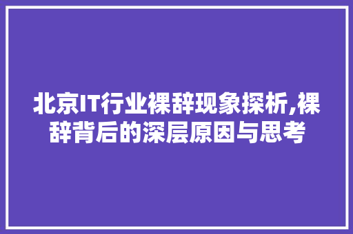 北京IT行业裸辞现象探析,裸辞背后的深层原因与思考