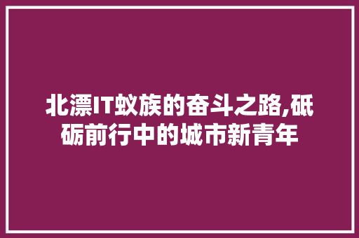 北漂IT蚁族的奋斗之路,砥砺前行中的城市新青年
