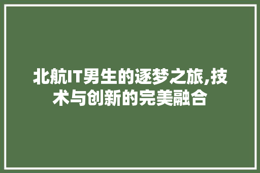 北航IT男生的逐梦之旅,技术与创新的完美融合