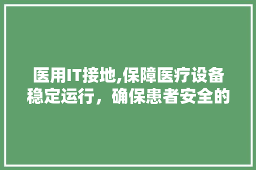 医用IT接地,保障医疗设备稳定运行，确保患者安全的重要举措 网站开发