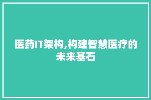 医药IT架构,构建智慧医疗的未来基石