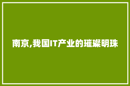 南京,我国IT产业的璀璨明珠 AI技术学习