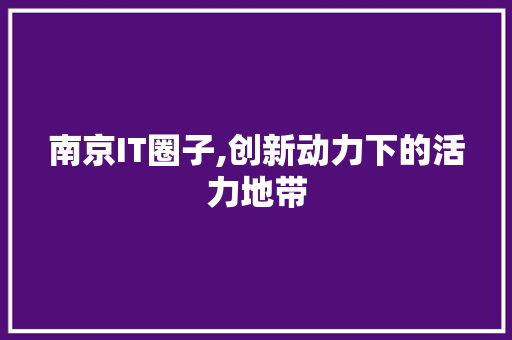 南京IT圈子,创新动力下的活力地带 360搜优化