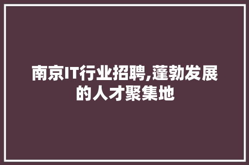 南京IT行业招聘,蓬勃发展的人才聚集地 seo技术