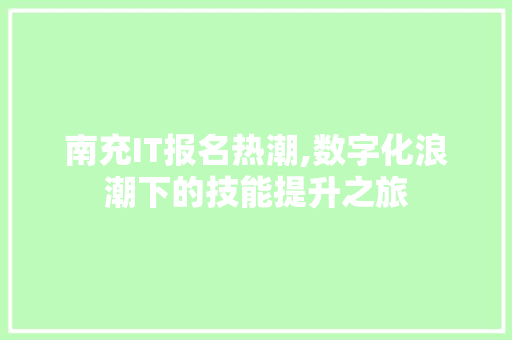 南充IT报名热潮,数字化浪潮下的技能提升之旅