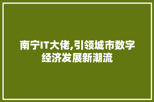南宁IT大佬,引领城市数字经济发展新潮流 头条优化