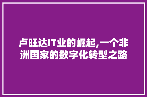 卢旺达IT业的崛起,一个非洲国家的数字化转型之路 搜狗优化