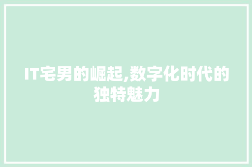 IT宅男的崛起,数字化时代的独特魅力 头条优化
