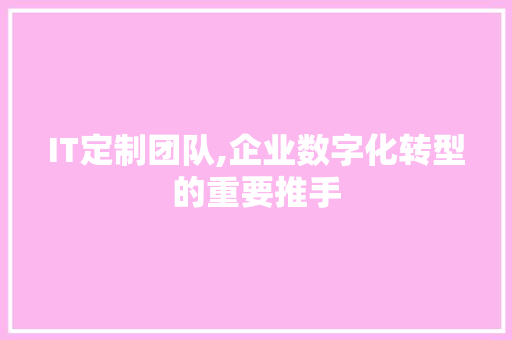 IT定制团队,企业数字化转型的重要推手