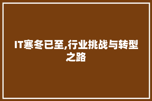 IT寒冬已至,行业挑战与转型之路