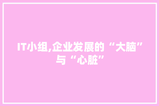 IT小组,企业发展的“大脑”与“心脏”