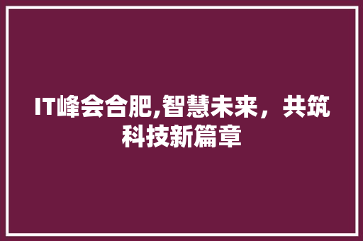 IT峰会合肥,智慧未来，共筑科技新篇章