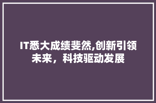 IT悉大成绩斐然,创新引领未来，科技驱动发展 头条优化