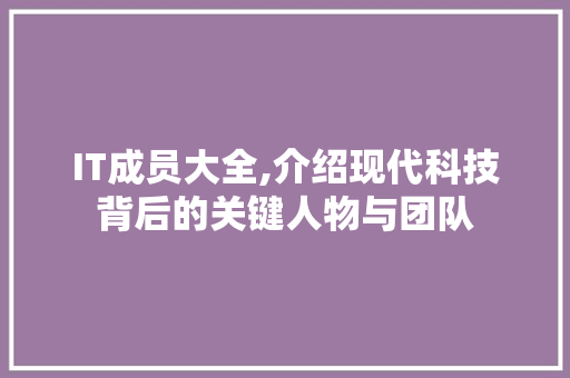IT成员大全,介绍现代科技背后的关键人物与团队