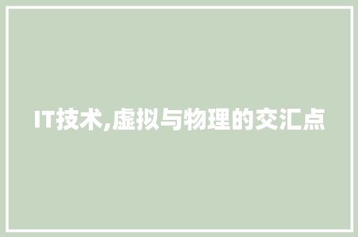 IT技术,虚拟与物理的交汇点