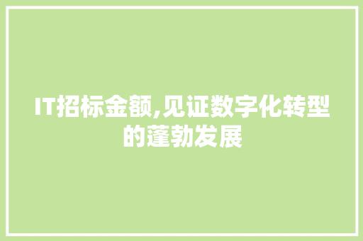 IT招标金额,见证数字化转型的蓬勃发展 小程序开发