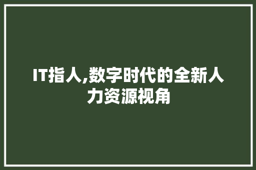 IT指人,数字时代的全新人力资源视角