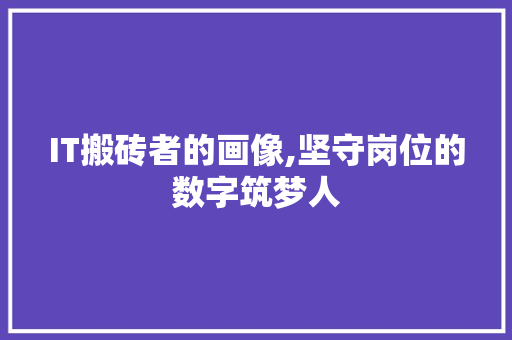 IT搬砖者的画像,坚守岗位的数字筑梦人 网站优化