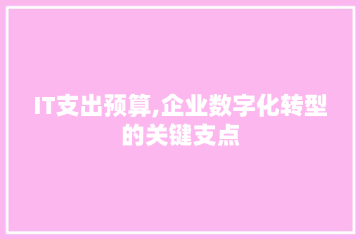 IT支出预算,企业数字化转型的关键支点