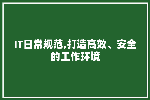 IT日常规范,打造高效、安全的工作环境