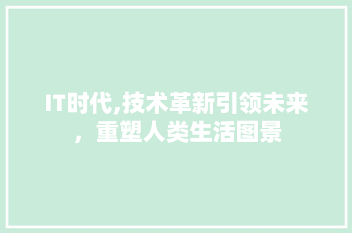 IT时代,技术革新引领未来，重塑人类生活图景 网站优化