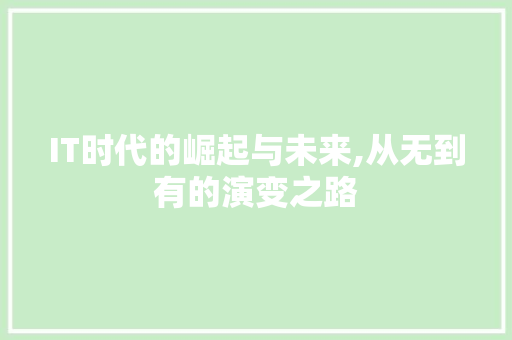 IT时代的崛起与未来,从无到有的演变之路 AI技术学习