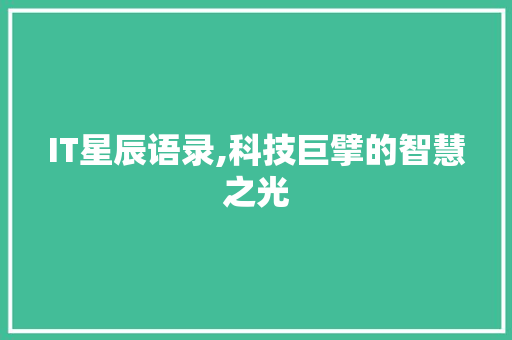 IT星辰语录,科技巨擘的智慧之光