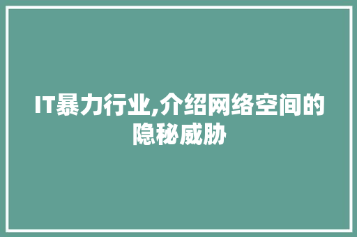 IT暴力行业,介绍网络空间的隐秘威胁 网站优化