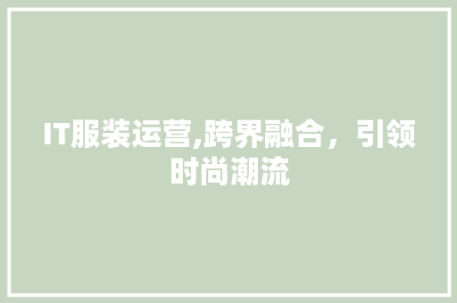 IT服装运营,跨界融合，引领时尚潮流