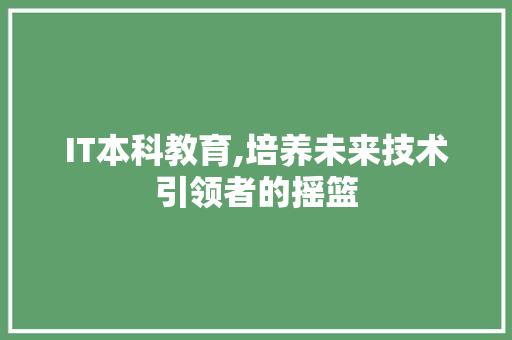 IT本科教育,培养未来技术引领者的摇篮
