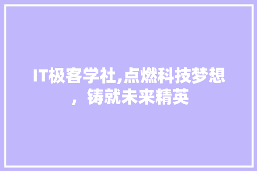 IT极客学社,点燃科技梦想，铸就未来精英 seo技术