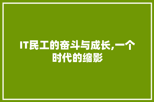 IT民工的奋斗与成长,一个时代的缩影