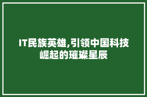 IT民族英雄,引领中国科技崛起的璀璨星辰